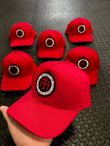 Badge Snapbacks