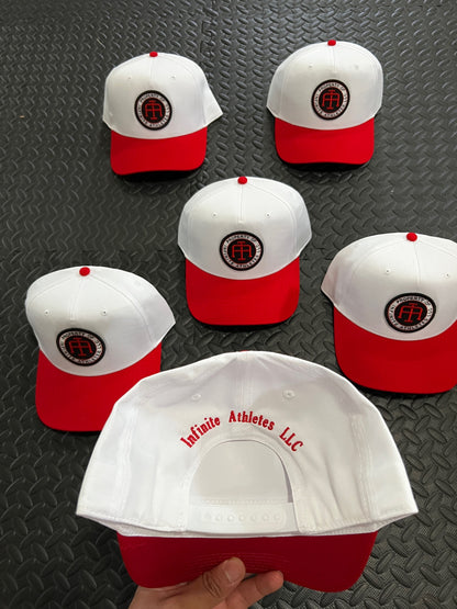 Badge Snapbacks